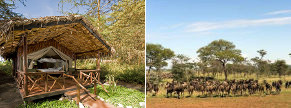 Safaris African Horizons