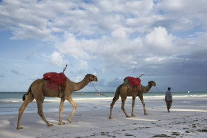Village Camels Beach
